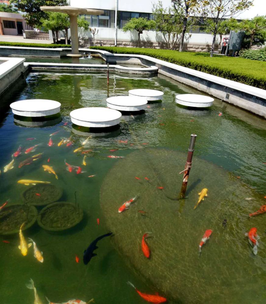 重要公告 ：如何分辨假冒產(chǎn)品