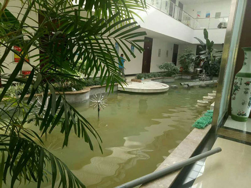 煙臺(tái)魚(yú)池水處理水凈化水循環(huán)設(shè)備