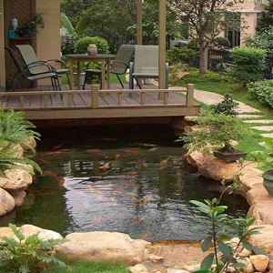 全自動(dòng)魚池凈化設(shè)備