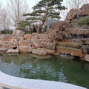 高 檔小區(qū)大型魚池凈化系統(tǒng)