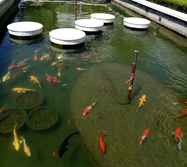 全自動(dòng)過濾消毒系統(tǒng)