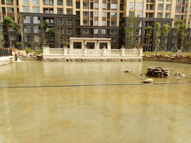 魚池過濾器客戶實地效果展示