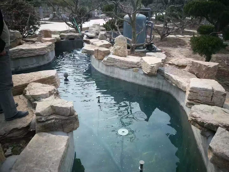 魚池過濾器客戶實地效果展示